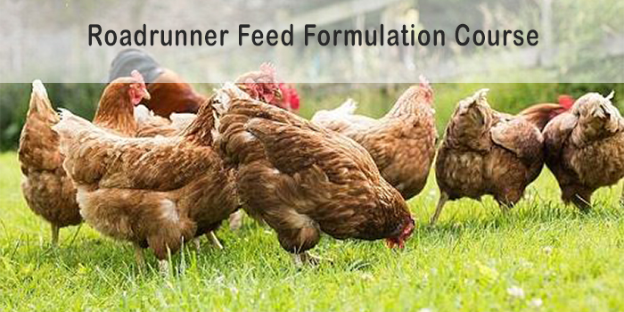Poultry Feed Formulation Course (Harare)