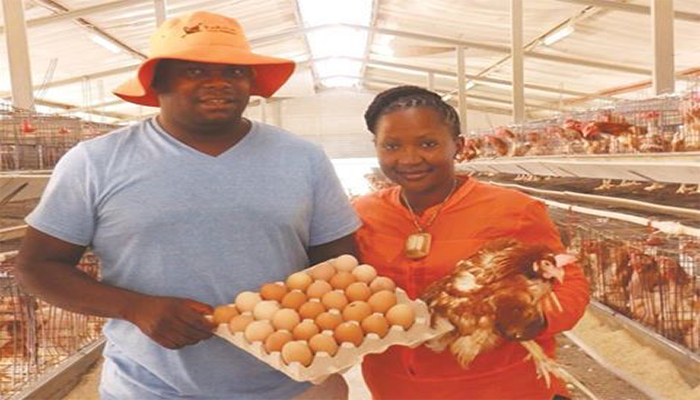 Get Inspired: Meet Namibia’s King And Queen Of Poultry Production Proving That Not Even The Sky Is The Limit When You Aim High.