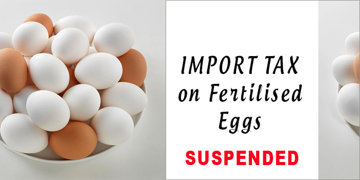 Zimbabwe Govt Suspends Duty on Fertilised Poultry Eggs