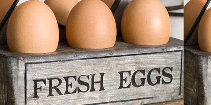 Poultry Association seeks extension of duty waiver on imports of fertilised eggs