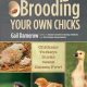 eBook for sale - Hatching & Brooding your own chicks guide book...only $2.50