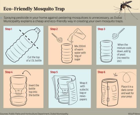 Eco-friendly Mosquito Trap