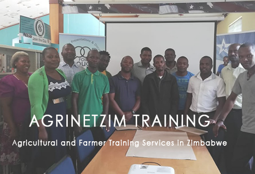 AgriNetZim Training – Feed Formulation Workshop (Harare)