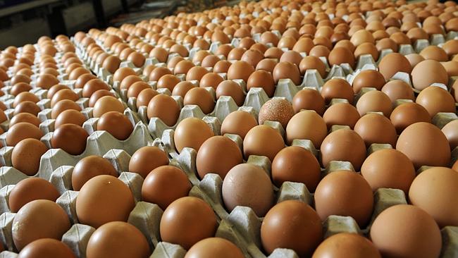 Zimbabwe celebrates World Egg Day