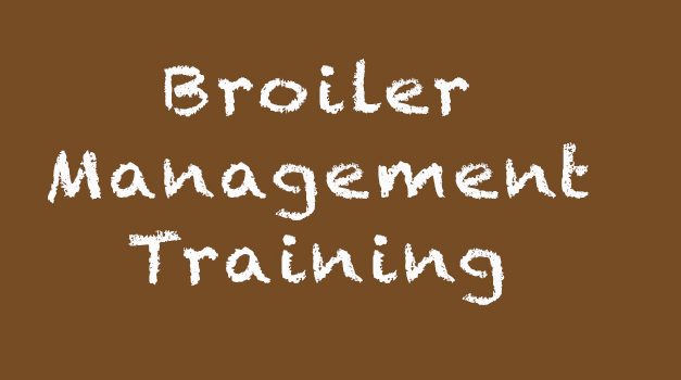 Harare Poultry Management Training