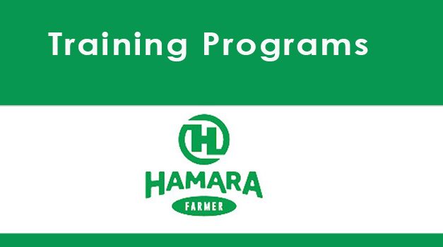 Hamara Farmer Layer Chicken Training (Bulawayo)