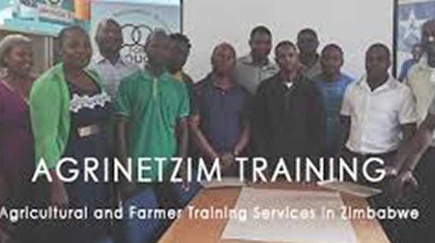 Animal Feed Formulation Training (Free)