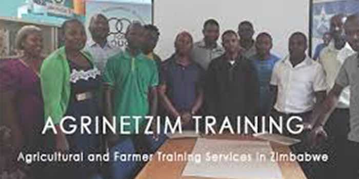 AgrinetZim Feed Formulation Training