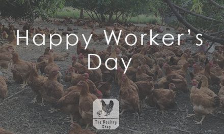 Happy Workers’ Day!