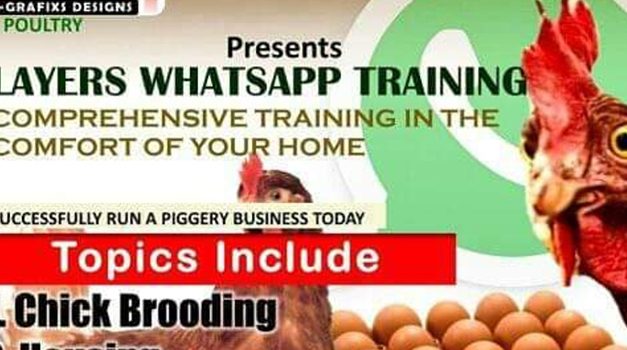 Layers WhatsApp Training