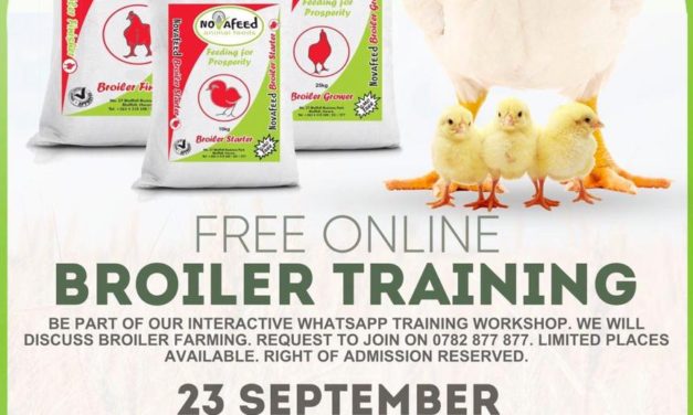 Novafeed Free Broiler Training Whatsapp Workshop