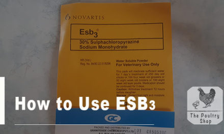 How to Use ESB3