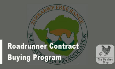 Roadrunner Contract Buying Opportunity