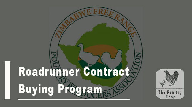 Roadrunner Contract Buying Opportunity