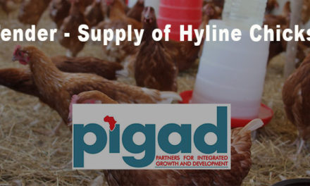 Pigad Flights Tender for the Supply of Hyline or H & N Layer Day Old Chicks