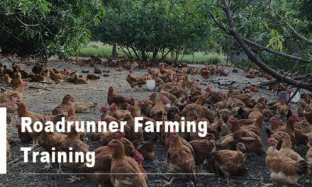 Roadrunner Farming Training by Usena Solutions P/L