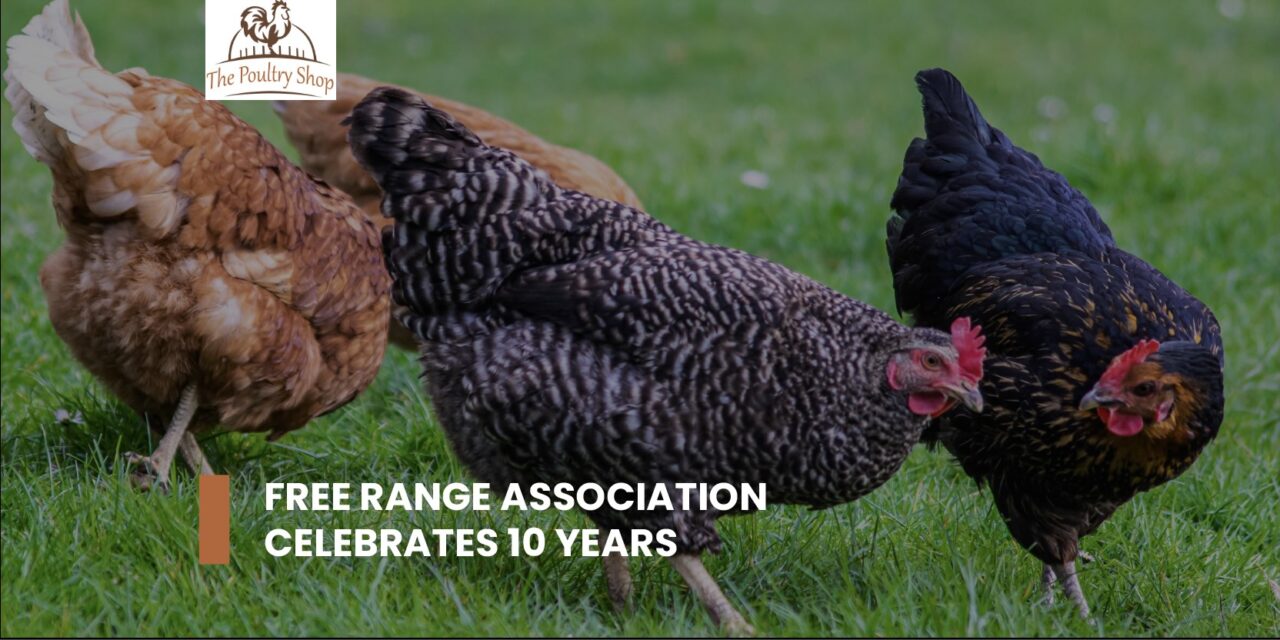 Free Range Poultry Association celebrates 10years