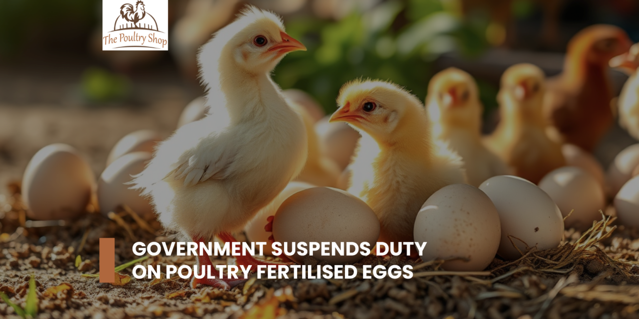 Government suspends duty on fertilised poultry eggs