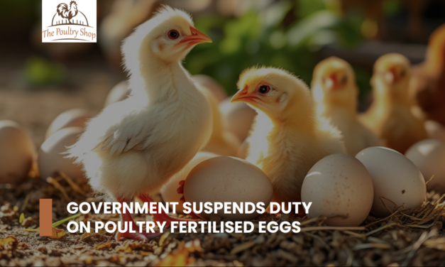 Government suspends duty on fertilised poultry eggs