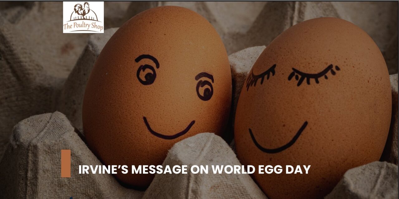 Irvine’s message on World Egg Day