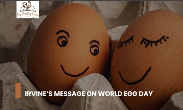 Irvine’s message on World Egg Day